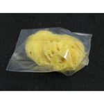 Spugna Mare Piccola singola Sin