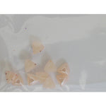 Decoro per unghie triangoli bombati albicocca