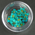 Fiori secchi acquamarina verde scuro lp