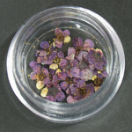 Fiori secchi viola LP