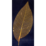 Foglia per nail art arancio bustina