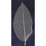 Foglia per nail art bianca bustina