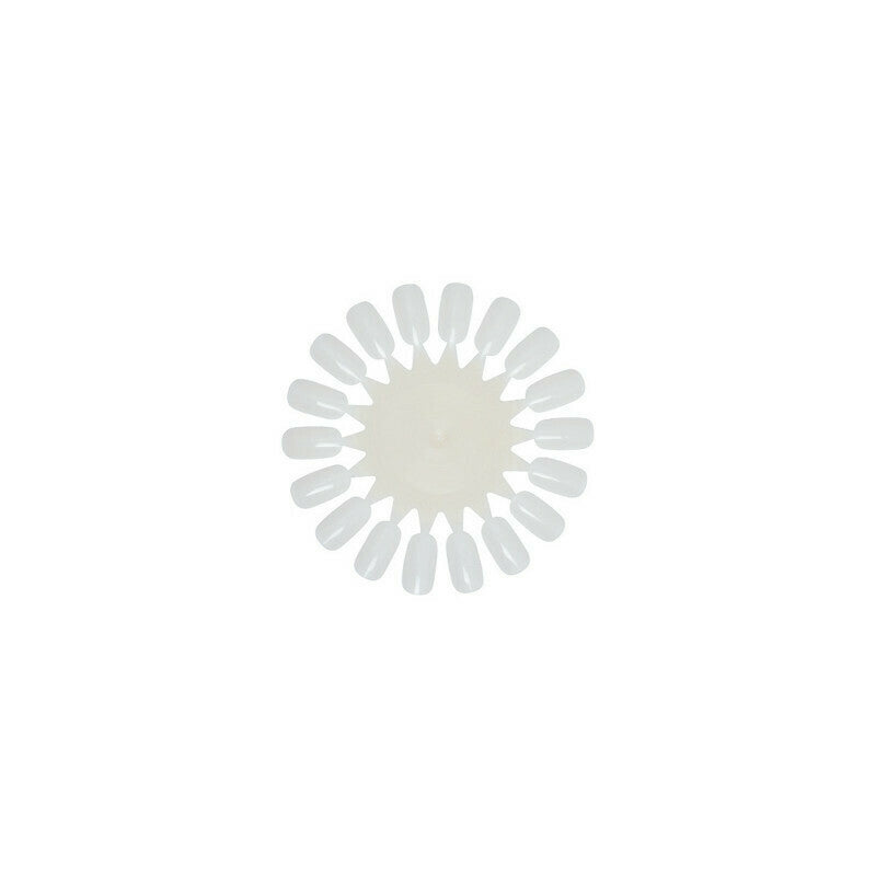 Display Color Wheel espositore per nail art