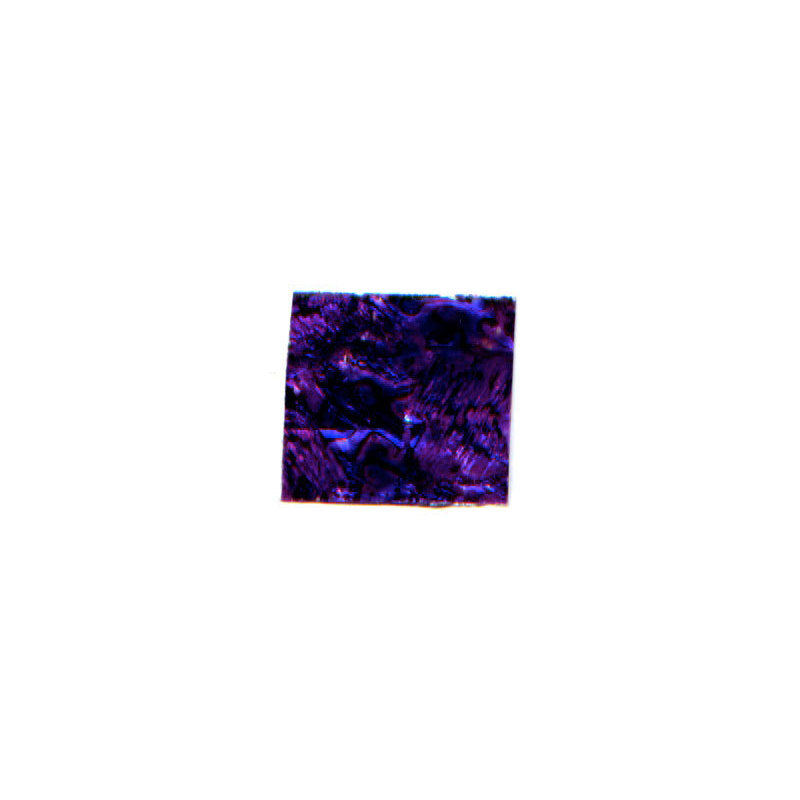 Striscia decoro madreperla 4x3,5 cm viola