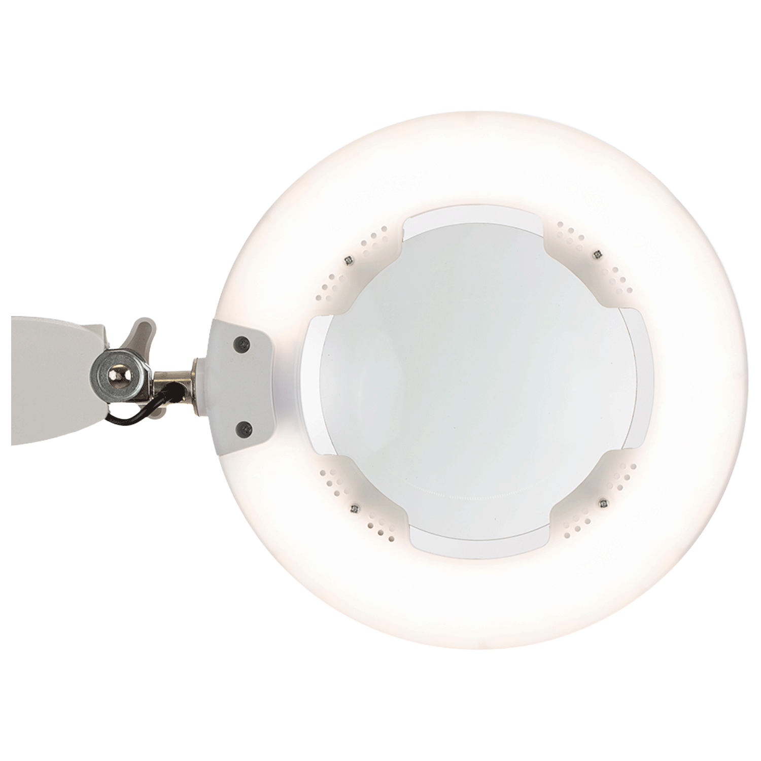 Lampada Ingrandimento Led 3 Diotrie con morsetto Labor H196/3D